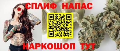 ECSTASY Обь